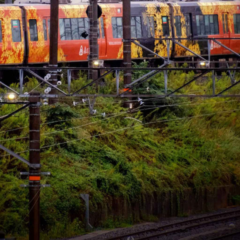 Autumn Trainlines Photography Print Buy Now on Artezaar.com Online Art Gallery Dubai UAE