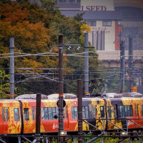 Autumn Trainlines Photography Print Buy Now on Artezaar.com Online Art Gallery Dubai UAE