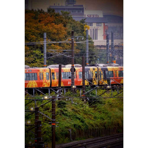 Autumn Trainlines Photography Print Buy Now on Artezaar.com Online Art Gallery Dubai UAE