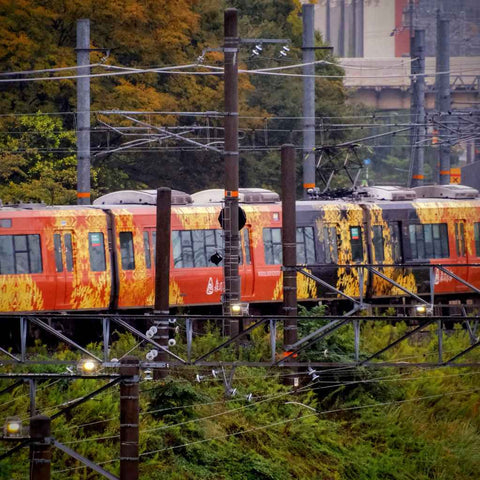Autumn Trainlines Photography Print Buy Now on Artezaar.com Online Art Gallery Dubai UAE