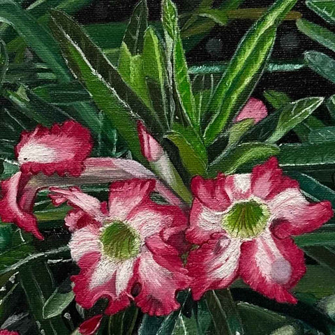 Blooming in the Dunes Oil Painting Buy Now on Artezaar.com Online Art Gallery Dubai UAE