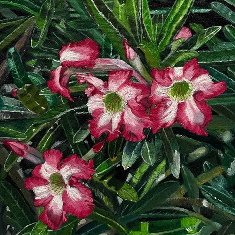 Blooming in the Dunes Oil Painting Buy Now on Artezaar.com Online Art Gallery Dubai UAE