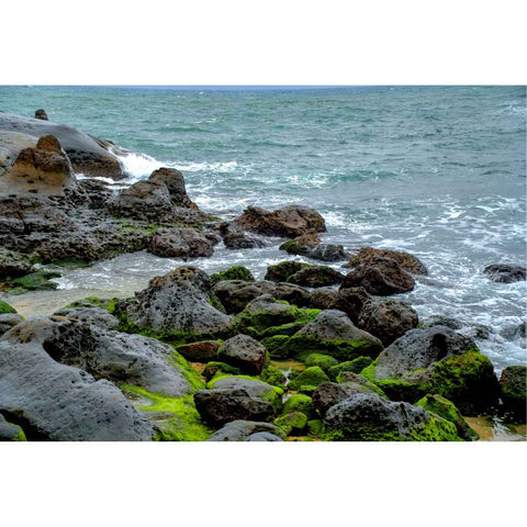 Breath of the Shore Photography Print Buy Now on Artezaar.com Online Art Gallery Dubai UAE