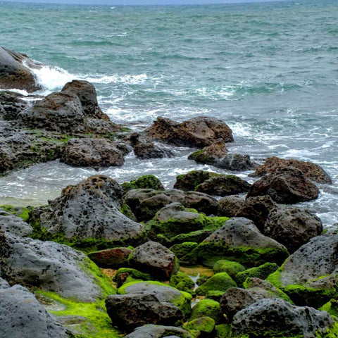 Breath of the Shore Photography Print Buy Now on Artezaar.com Online Art Gallery Dubai UAE