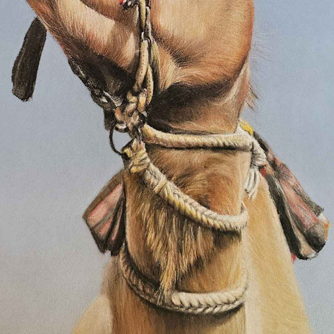 Camel Muse Chalk Pastel Painting Buy Now on Artezaar.com Online Art Gallery Dubai UAE