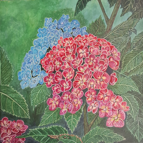 Curiosity In Bloom - Hydrangea - Acrylic Painting - Artezaar.com Online Art Gallery