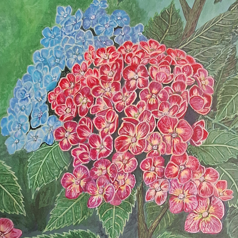Curiosity In Bloom - Hydrangea - Acrylic Painting - Artezaar.com Online Art Gallery