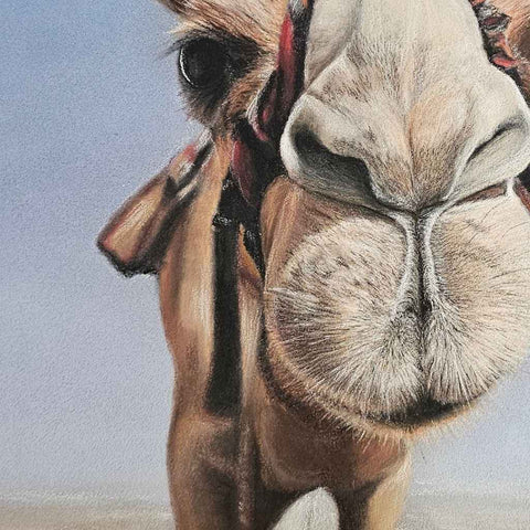 Curious Camel Chalk Pastel Painting Buy Now on Artezaar.com Online Art Gallery Dubai UAE