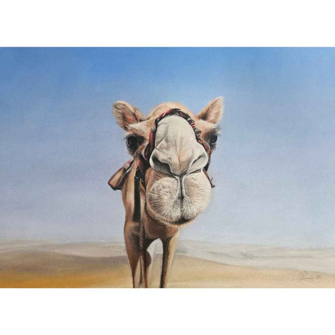 Curious Camel Chalk Pastel Painting Buy Now on Artezaar.com Online Art Gallery Dubai UAE