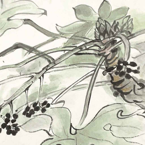 Fatsia - Sketches & Drawings - Artezaar.com Online Art Gallery