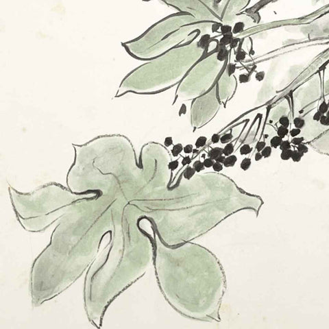 Fatsia - Sketches & Drawings - Artezaar.com Online Art Gallery