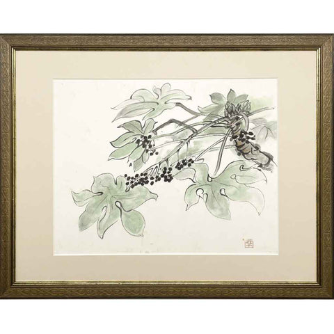 Fatsia - Sketches & Drawings - Artezaar.com Online Art Gallery