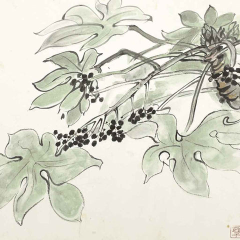 Fatsia - Sketches & Drawings - Artezaar.com Online Art Gallery