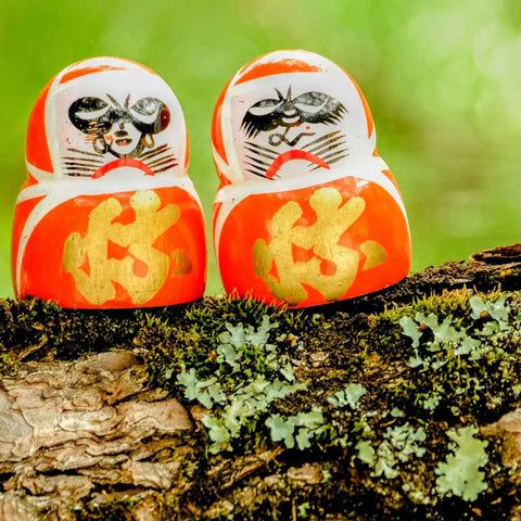 Forest Companions Photography Print Buy Now on Artezaar.com Online Art Gallery Dubai UAE