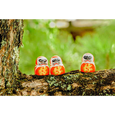 Forest Companions Photography Print Buy Now on Artezaar.com Online Art Gallery Dubai UAE