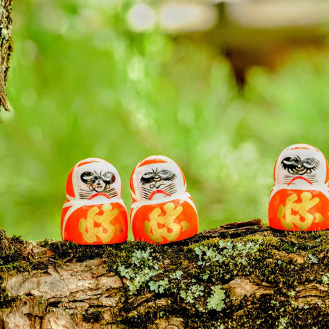 Forest Companions Photography Print Buy Now on Artezaar.com Online Art Gallery Dubai UAE