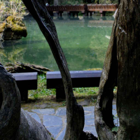 Framed by Time Photography Prints Buy Now on Artezaar.com Online Art Gallery Dubai UAE