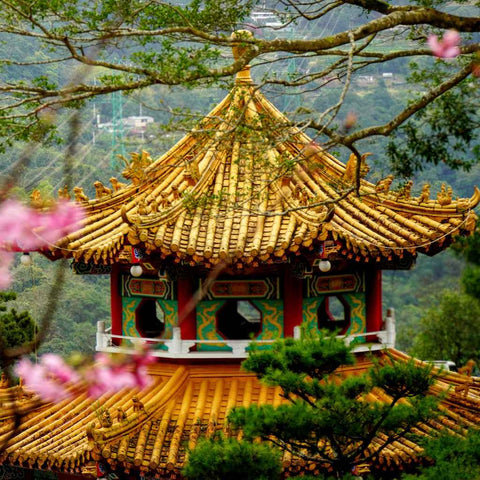 Framed in Blossom Photography Prints Buy Now on Artezaar.com Online Art Gallery Dubai UAE