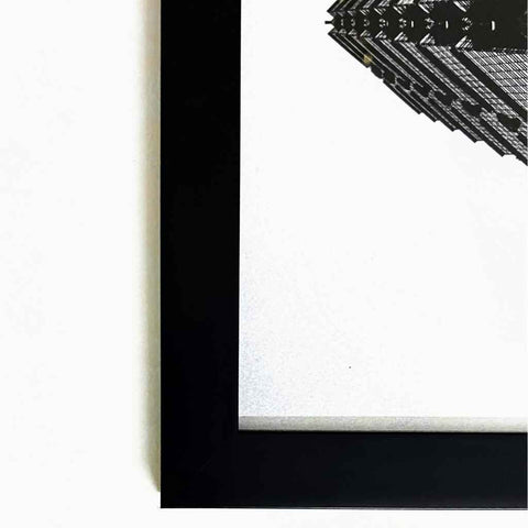 Giant Panda Photography Print Buy Now on Artezaar.com Online Art Gallery Dubai UAE