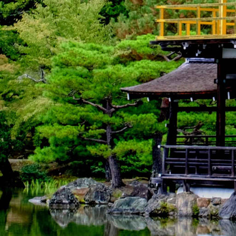 Golden Reflections Photography Print Buy Now on Artezaar.com Online Art Gallery Dubai UAE