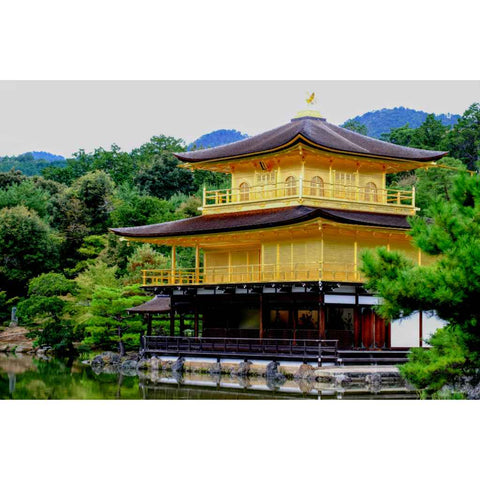 Golden Reflections Photography Print Buy Now on Artezaar.com Online Art Gallery Dubai UAE