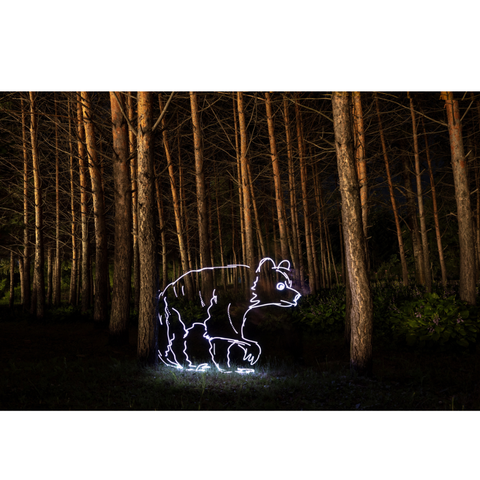 Greater Khingan Bear - Light Painting Art- Artezaar.com Online Art Gallery