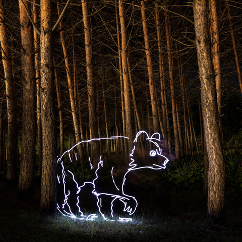 Greater Khingan Bear - Light Painting Art- Artezaar.com Online Art Gallery