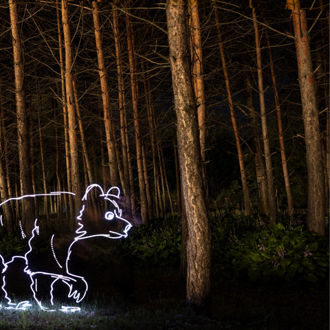 Greater Khingan Bear - Light Painting Art- Artezaar.com Online Art Gallery