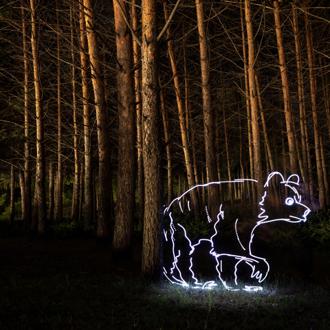 Greater Khingan Bear - Light Painting Art- Artezaar.com Online Art Gallery