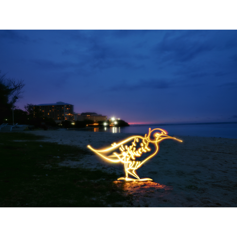 Guam Koko Bird - Light Painting Art- Artezaar.com Online Art Gallery