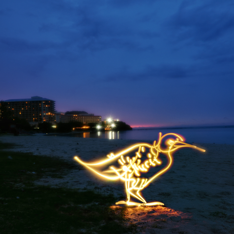 Guam Koko Bird - Light Painting Art- Artezaar.com Online Art Gallery