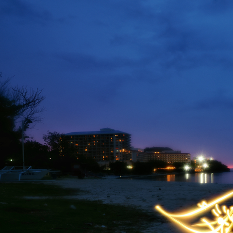 Guam Koko Bird - Light Painting Art- Artezaar.com Online Art Gallery