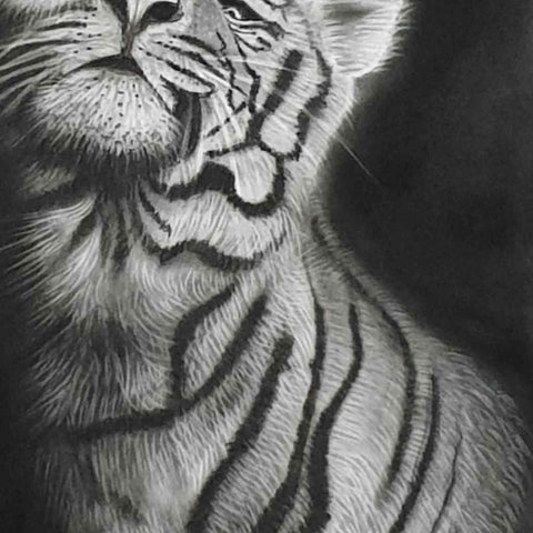 Guided By Grace Sketch Artwork Buy Now on Artezaar.com Online Art Gallery Dubai UAE