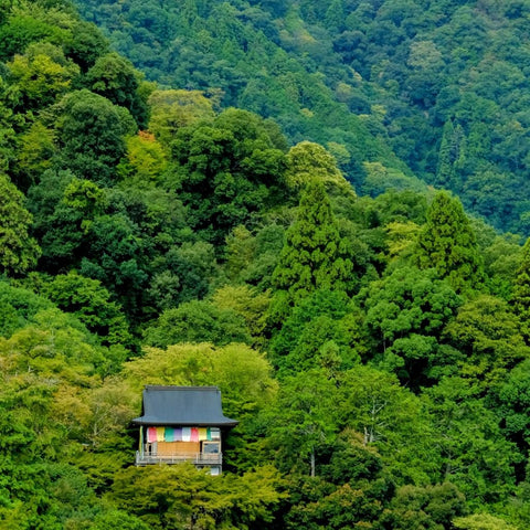 Hidden Among The Cedars - Photography - Artezaar.com Online Art Gallery