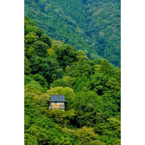 Hidden Among The Cedars - Photography - Artezaar.com Online Art Gallery