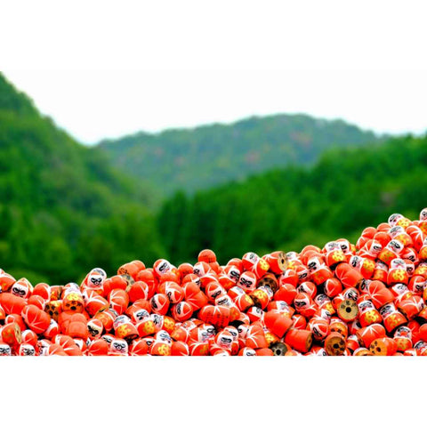 Hillside of a Thousand Wishes Photography Print Buy Now on Artezaar.com Online Art Gallery Dubai UAE