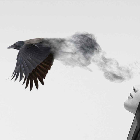 Inner Voice Photography Print Buy Now on Artezaar.com Online Art Gallery Dubai UAE