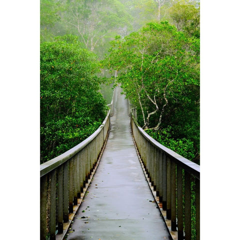 Into The Veil - Photography - Artezaar.com Online Art Gallery