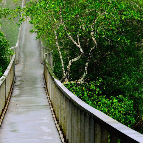 Into The Veil - Photography - Artezaar.com Online Art Gallery