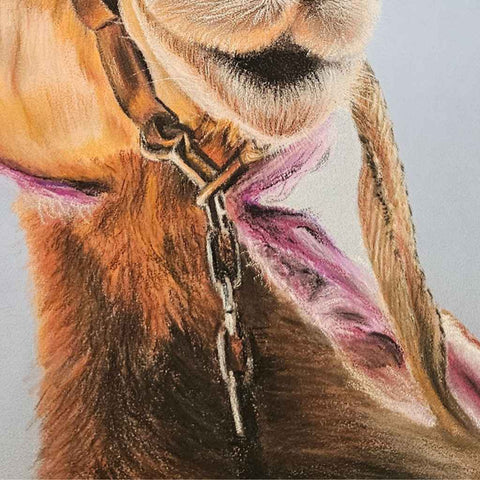 Lawencina of Arabia Chalk Pastel Painting Buy Now on Artezaar.com Online Art Gallery Dubai UAE