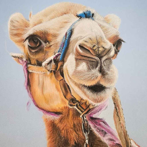 Lawencina of Arabia Chalk Pastel Painting Buy Now on Artezaar.com Online Art Gallery Dubai UAE