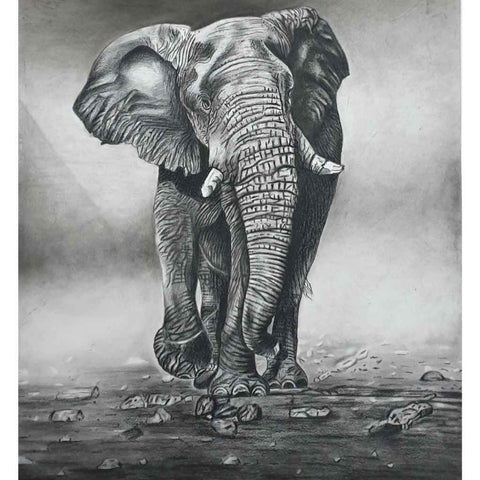 Majestic March Sketch Painting Buy Now on Artezaar.com Online Art Gallery Dubai UAE
