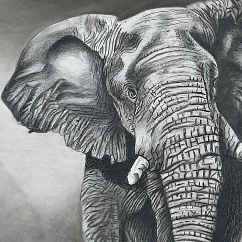 Majestic March Sketch Painting Buy Now on Artezaar.com Online Art Gallery Dubai UAE