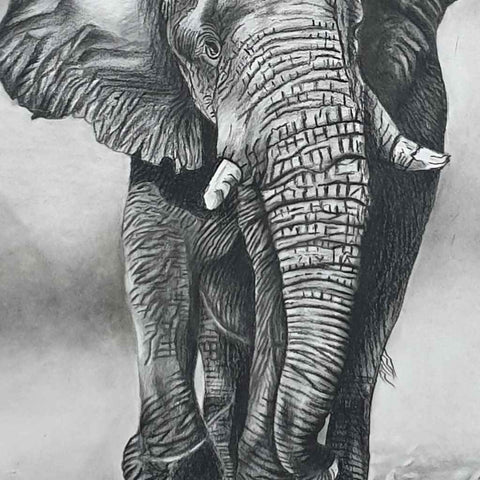 Majestic March Sketch Painting Buy Now on Artezaar.com Online Art Gallery Dubai UAE