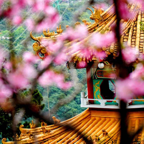 Maokong Spring Photography Print Buy Now on Artezaar.com Online Art Gallery Dubai UAE