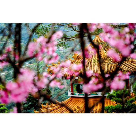 Maokong Spring Photography Print Buy Now on Artezaar.com Online Art Gallery Dubai UAE