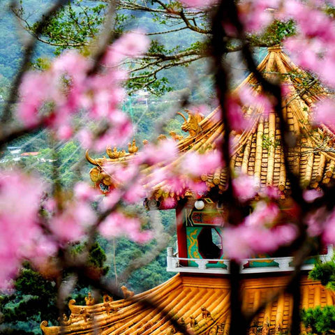 Maokong Spring Photography Print Buy Now on Artezaar.com Online Art Gallery Dubai UAE