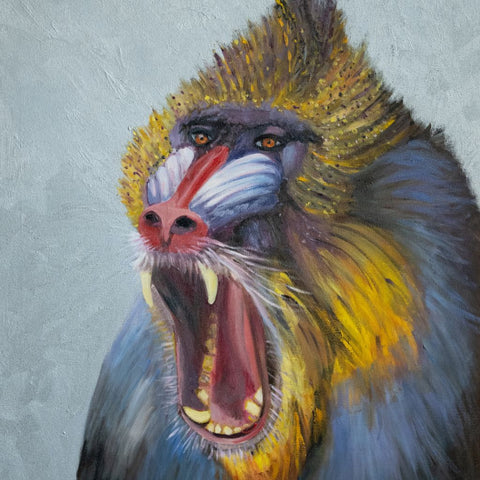 Monkey Portrait Oil Painting Buy Now on Artezaar.com Online Art Gallery Dubai UAE