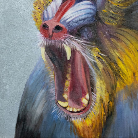 Monkey Portrait Oil Painting Buy Now on Artezaar.com Online Art Gallery Dubai UAE