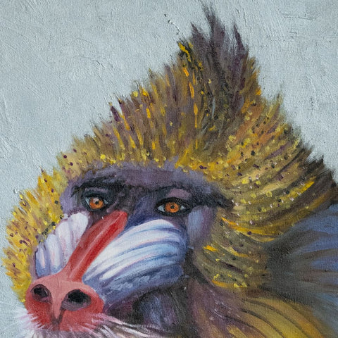Monkey Portrait Oil Painting Buy Now on Artezaar.com Online Art Gallery Dubai UAE